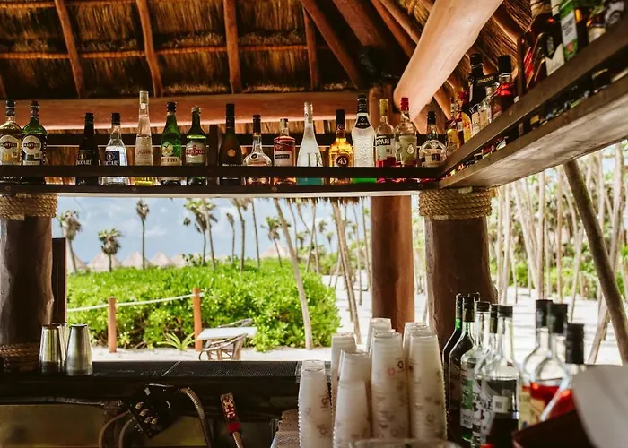 Valentin Imperial Riviera Maya, + Adults Only 5* Playa Paraiso